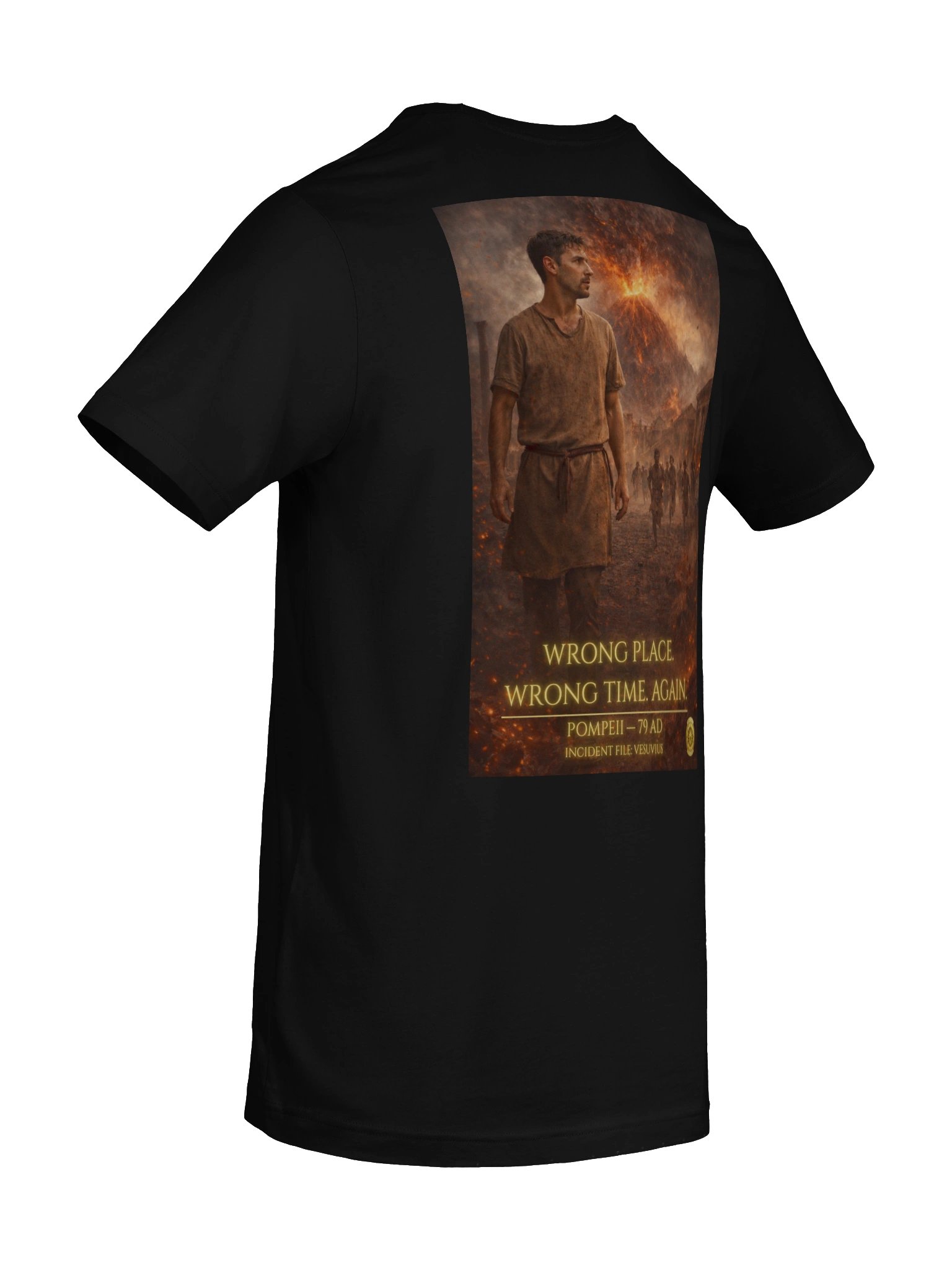 Pompeii 79 AD Field Archive T-Shirt product image (10)