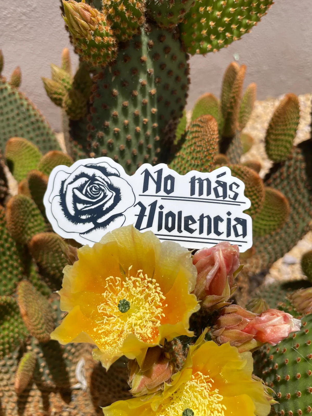 Sticker Packs (Variety, Spanish, Pride, SAAM) product image (3)