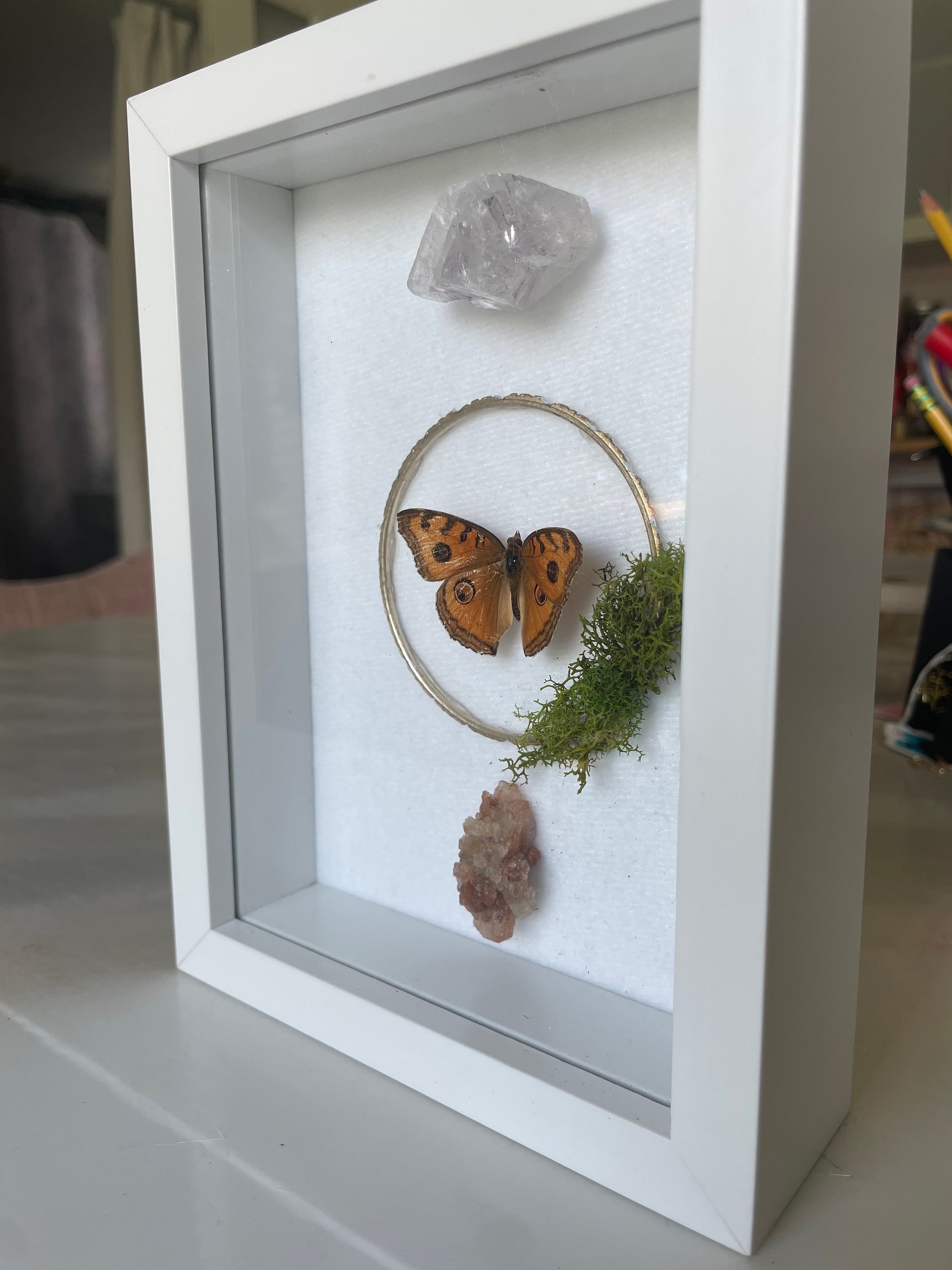 Butterfly - Orange product image (1)