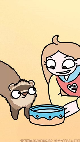 We do ANYTHING to water, BUT drink it! You name it! But don't drink it!!! 💦🪏#ferrets #funny #animated #cute
