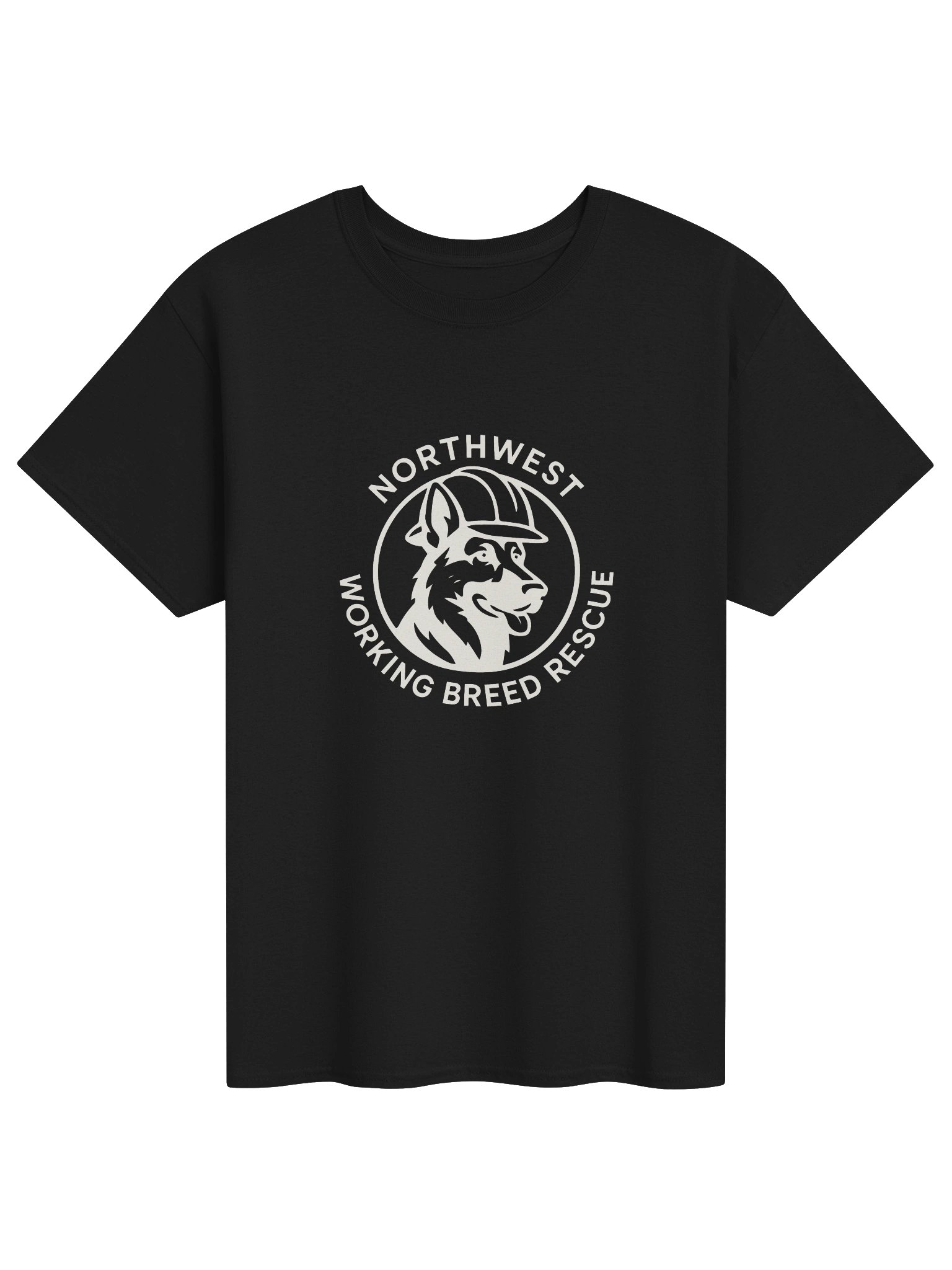 T-shirt product image (1)