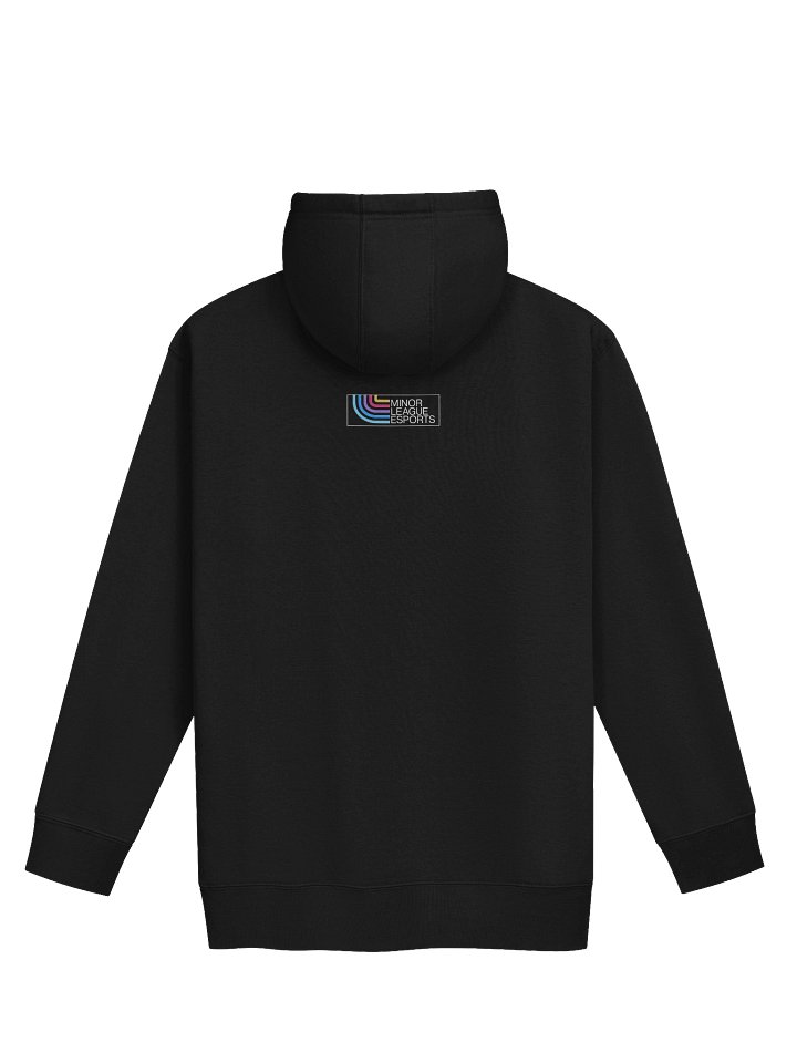 MLE10 Badge Hoodie product image (2)