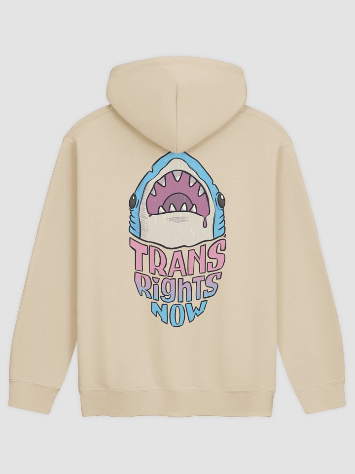 hoodie : trans rights now product image (1)
