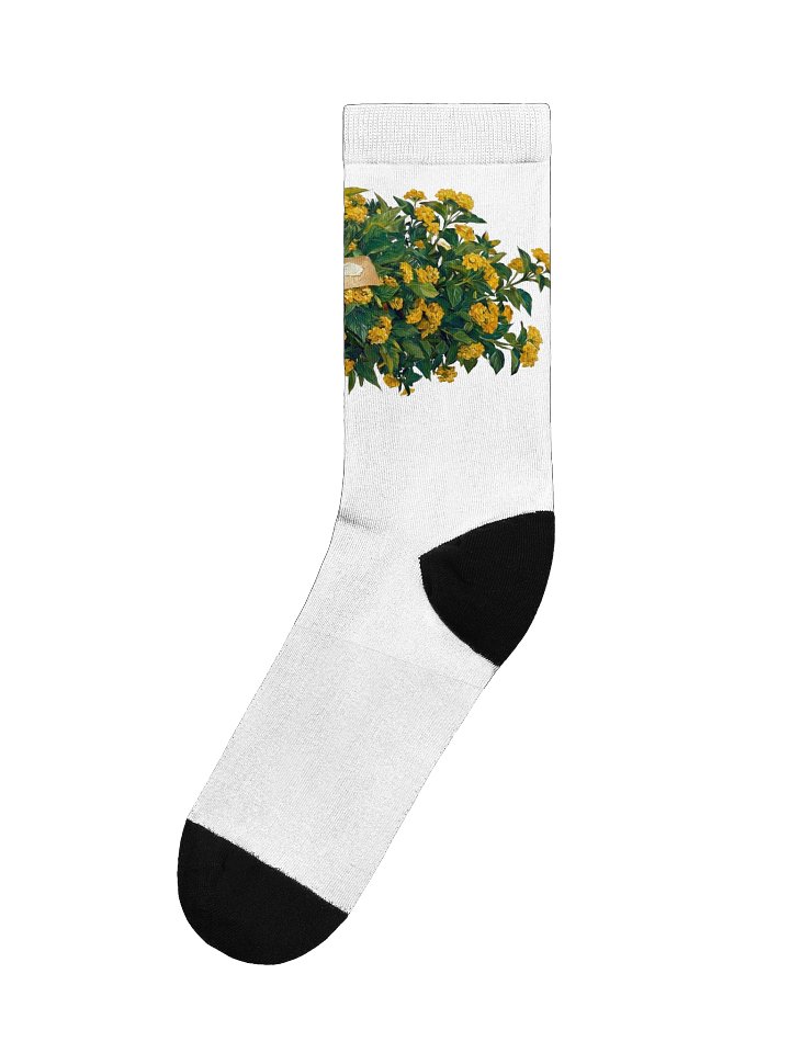 No Cheese No Mayo Socks product image (1)