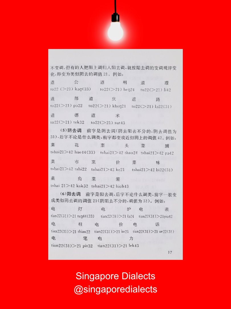 A Survey of Singaporean Hokkien 新加坡闽南话概说 product image (4)
