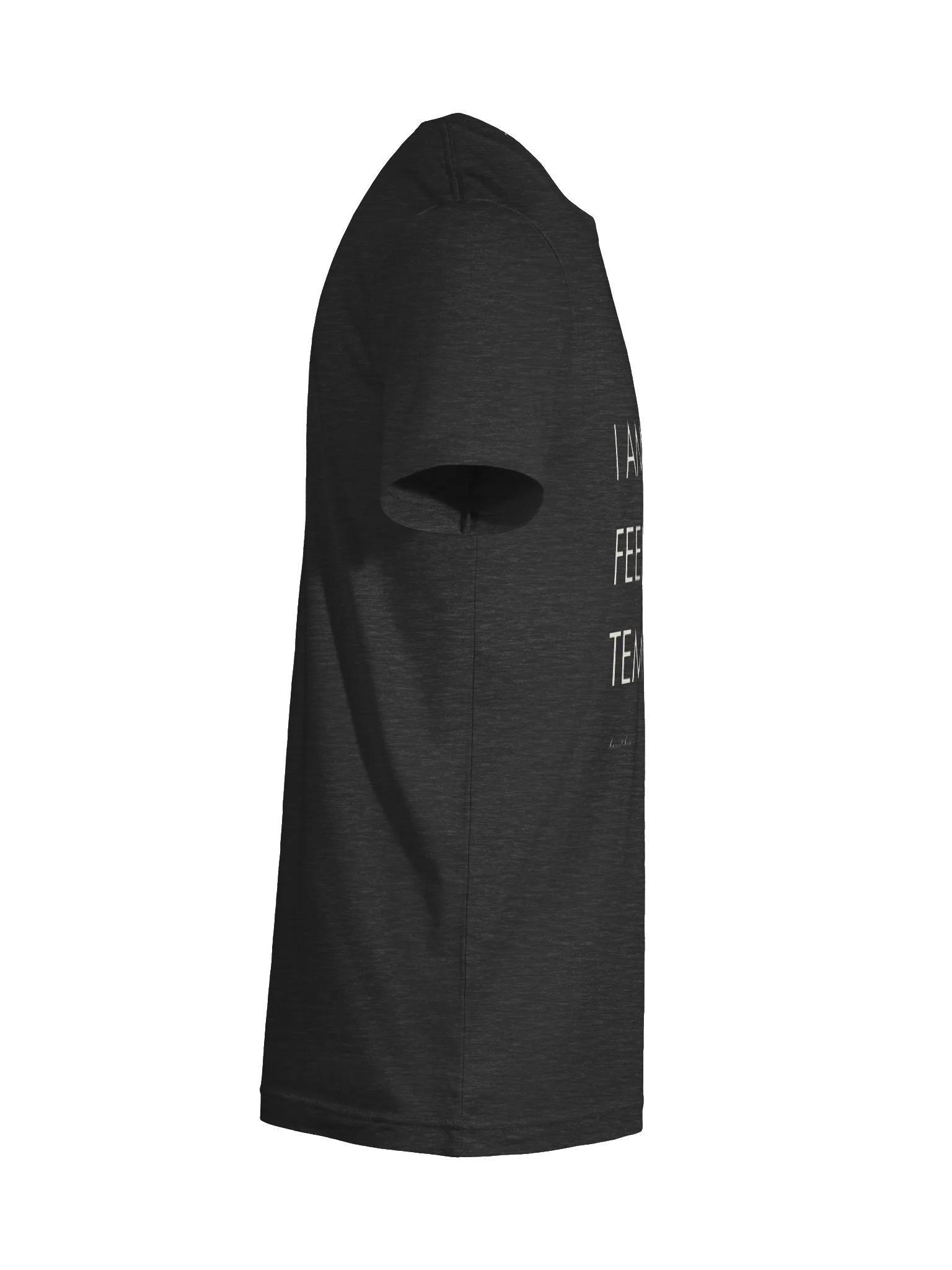 'feeling temporary' tee product image (30)