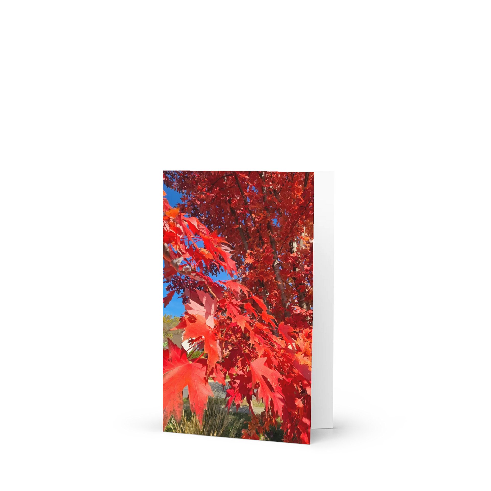 Crimson Leaves Greeting Card (blank) product image (1)