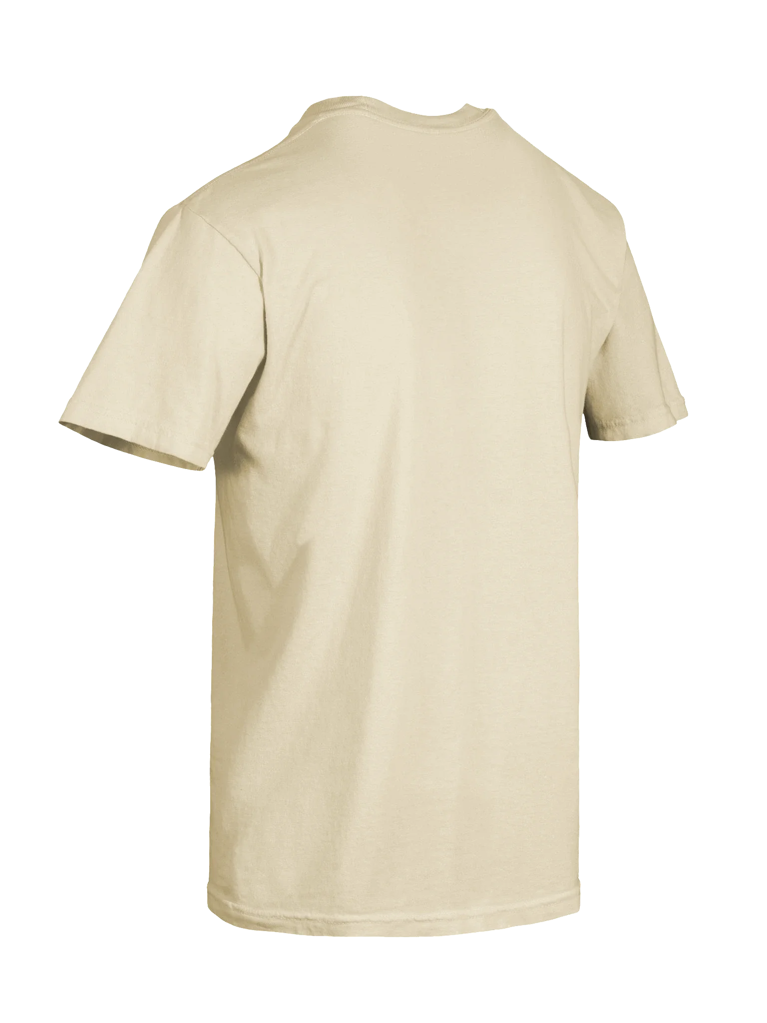 A Field Guide To Agents Tee — view 8