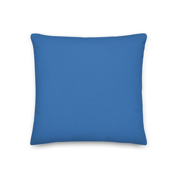 BVA Pillow product image (2)