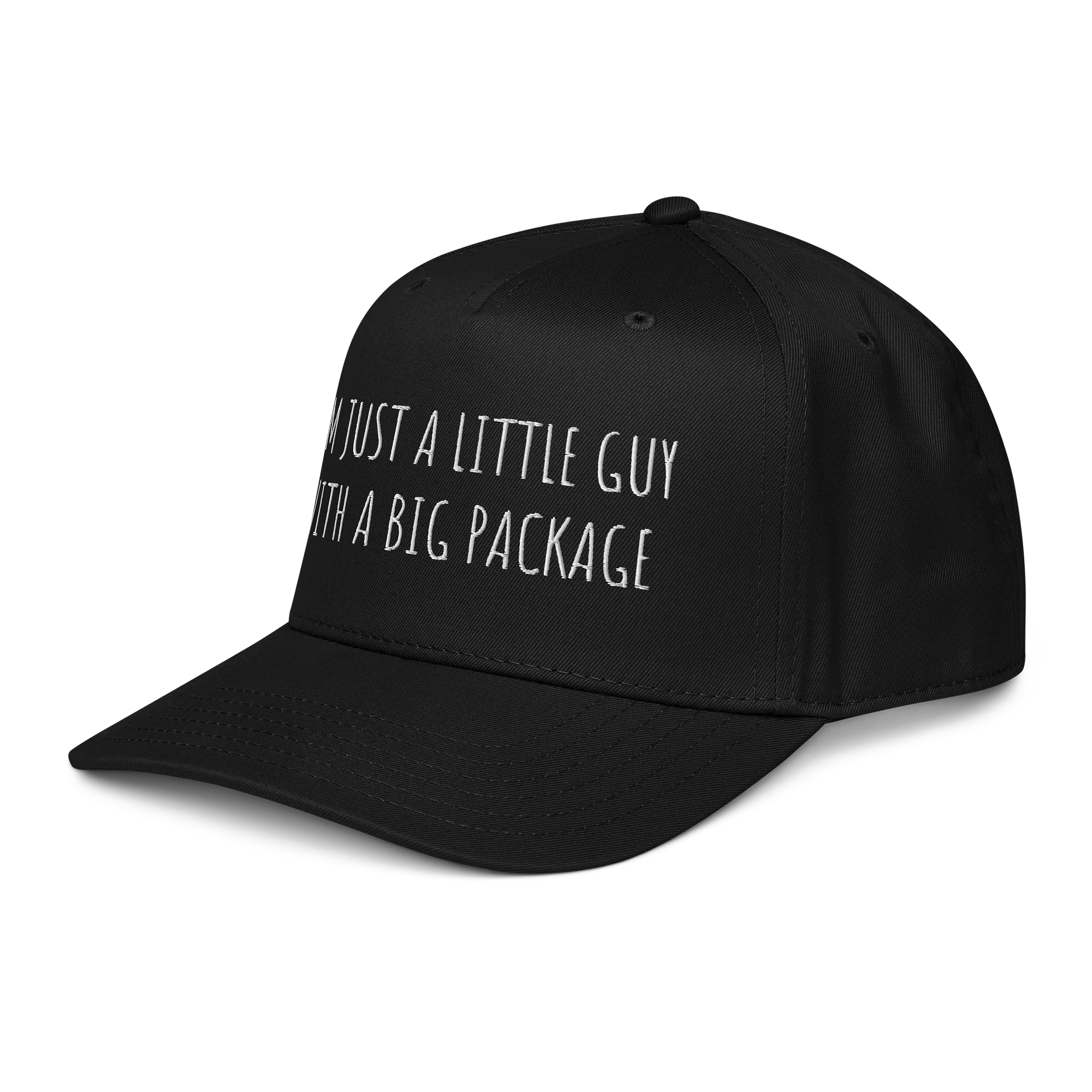 Little Guy product image (2)