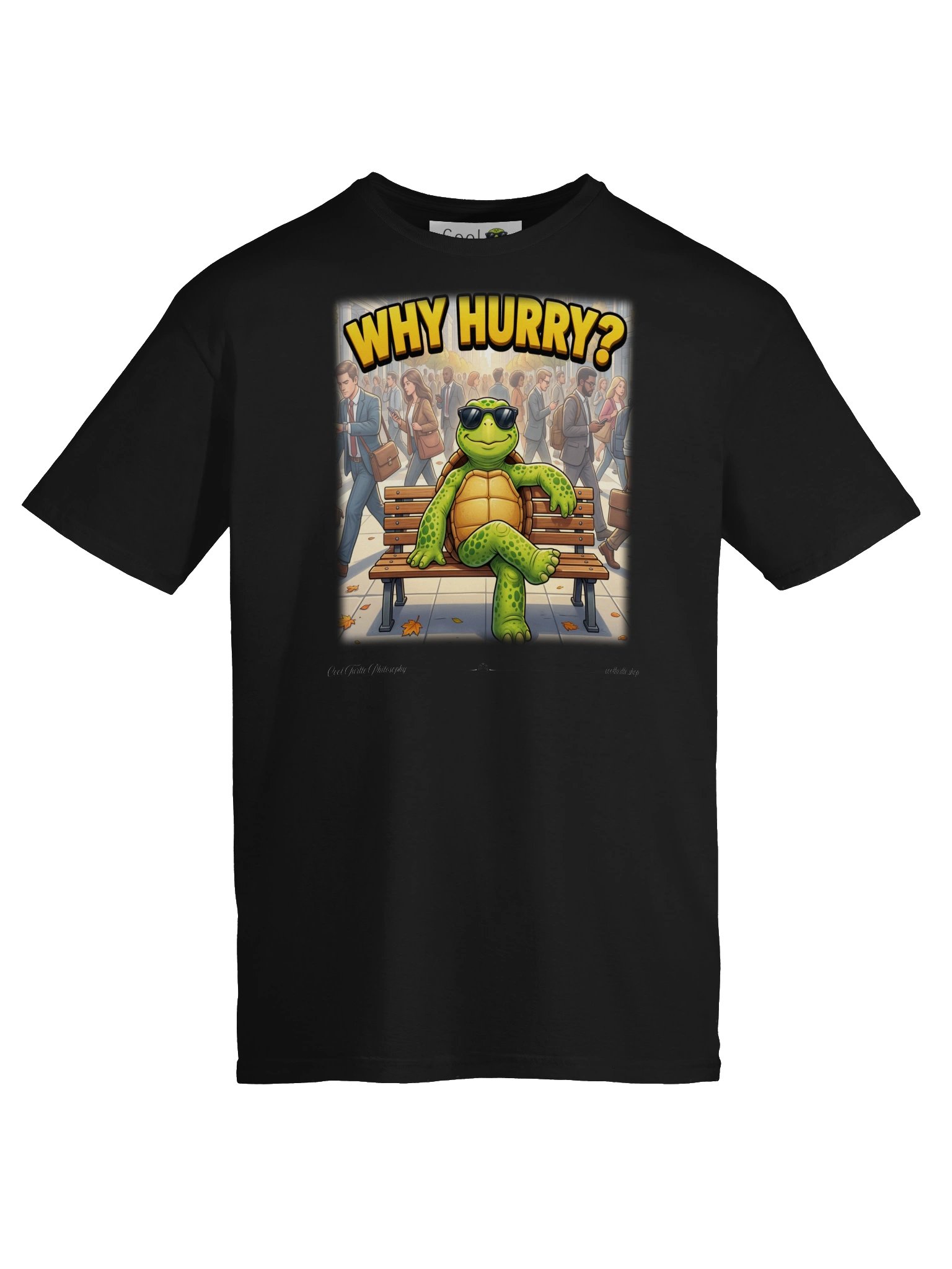 WHY HURRY? — Gildan 64000 Softstyle T-Shirt product image (7)