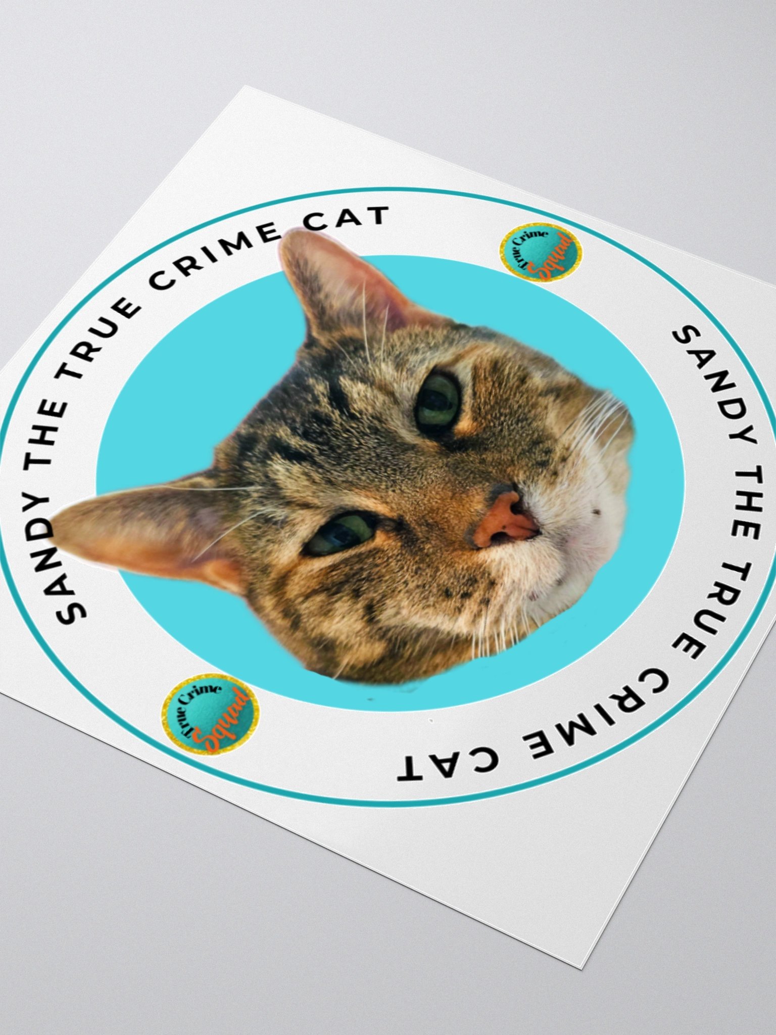 Sandy the True Crime Cat product image (9)