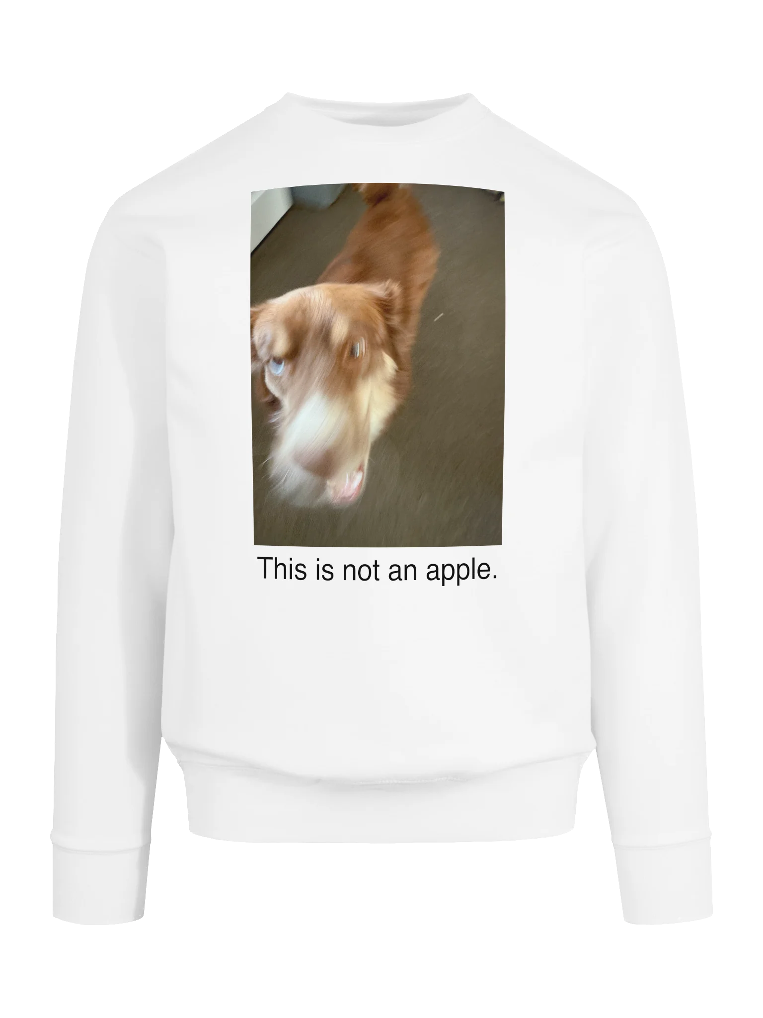 This is a dog. product image (8)