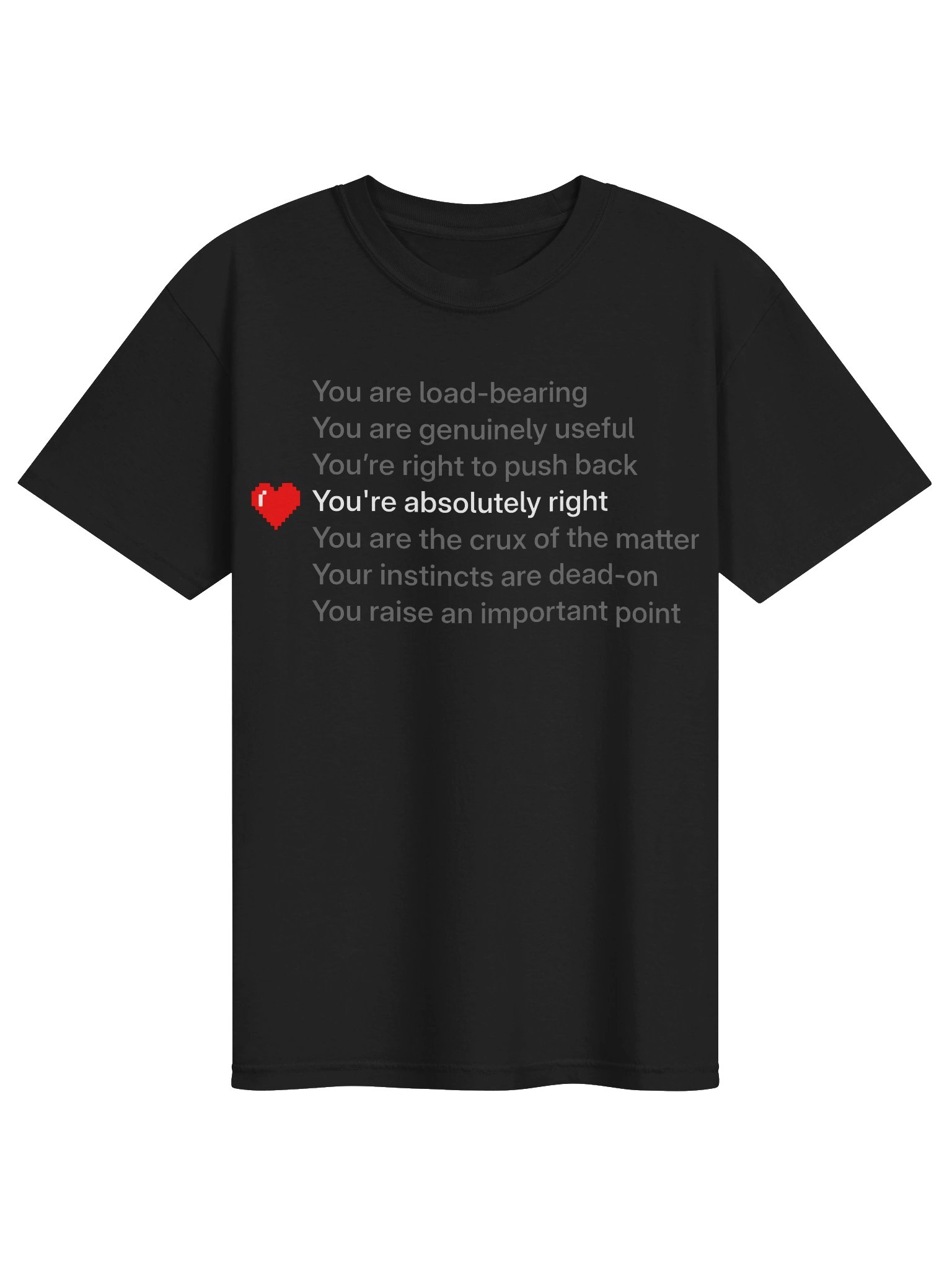 You're absolutely right product image (1)
