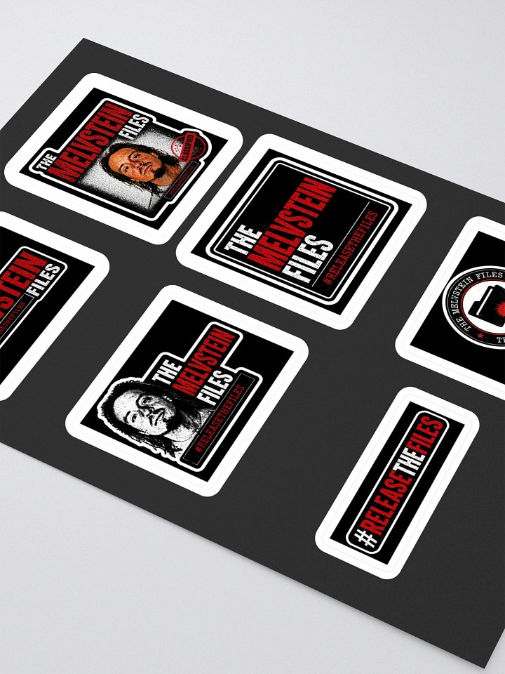 CASE FILE #001 — MELVSTEIN FILES STICKER product image (2)
