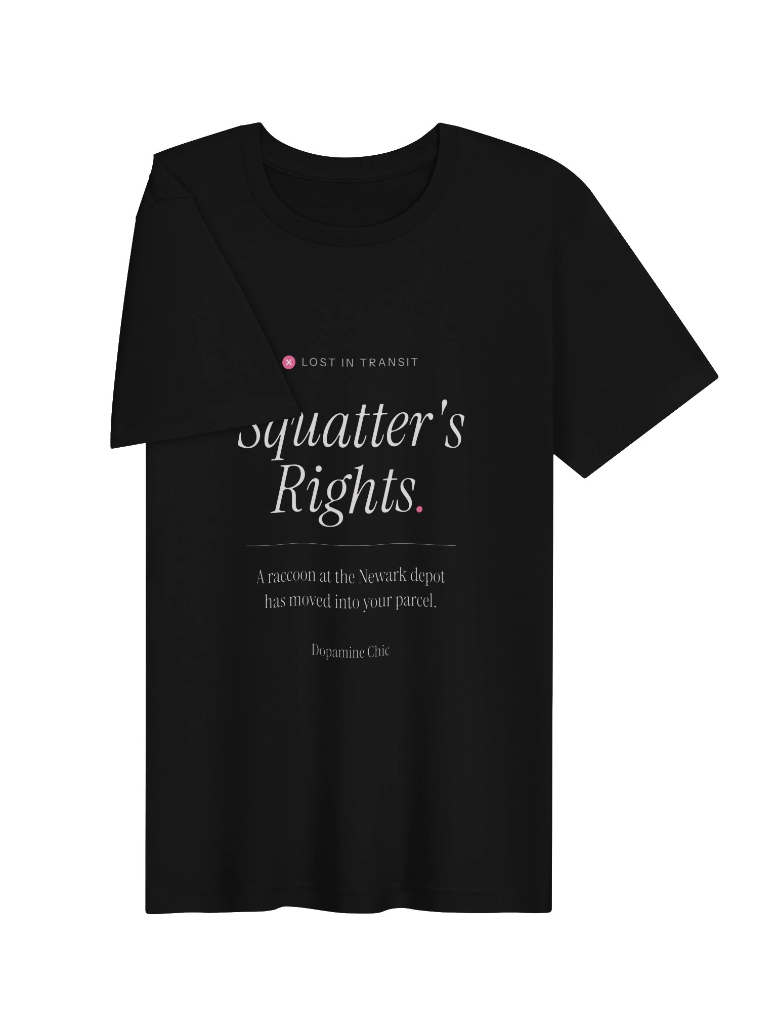 Squatter's Rights product image (3)