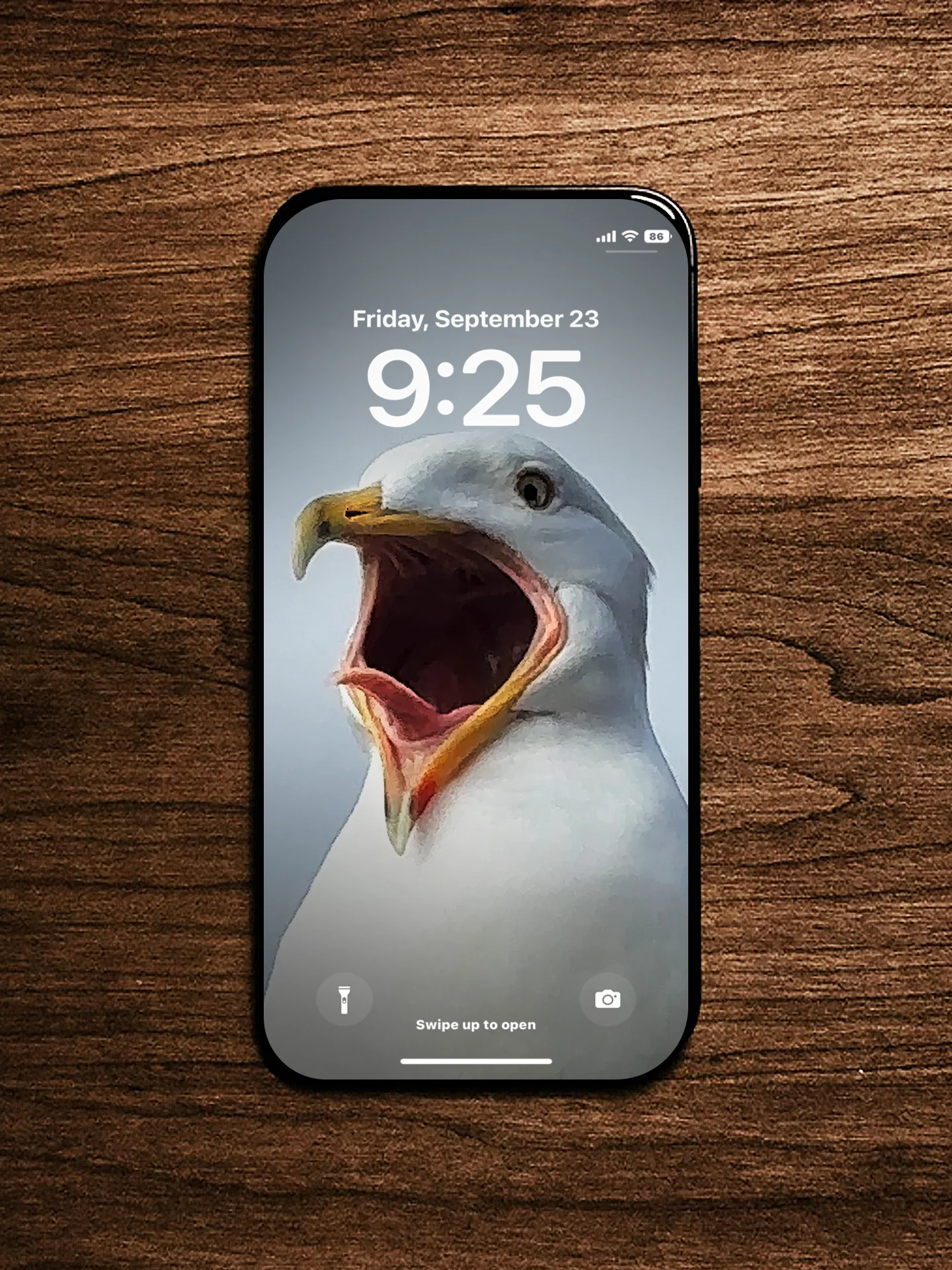 Steven Wallpaper Pack 2 product image (2)