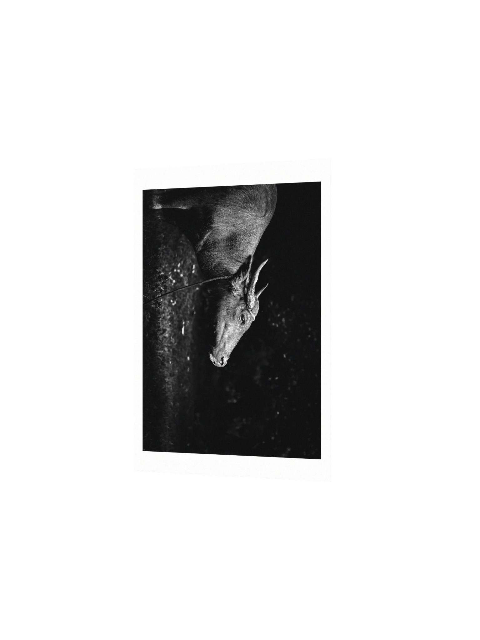Matte Poster for Vol 3 | Philippines (Tiny Sensor in) product image (3)