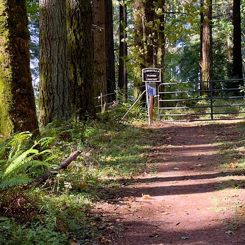 Hidden in the woods above Happy Valley is one of Oregon’s oldest pioneer cemeteries—and finding it proved almost as interesti...