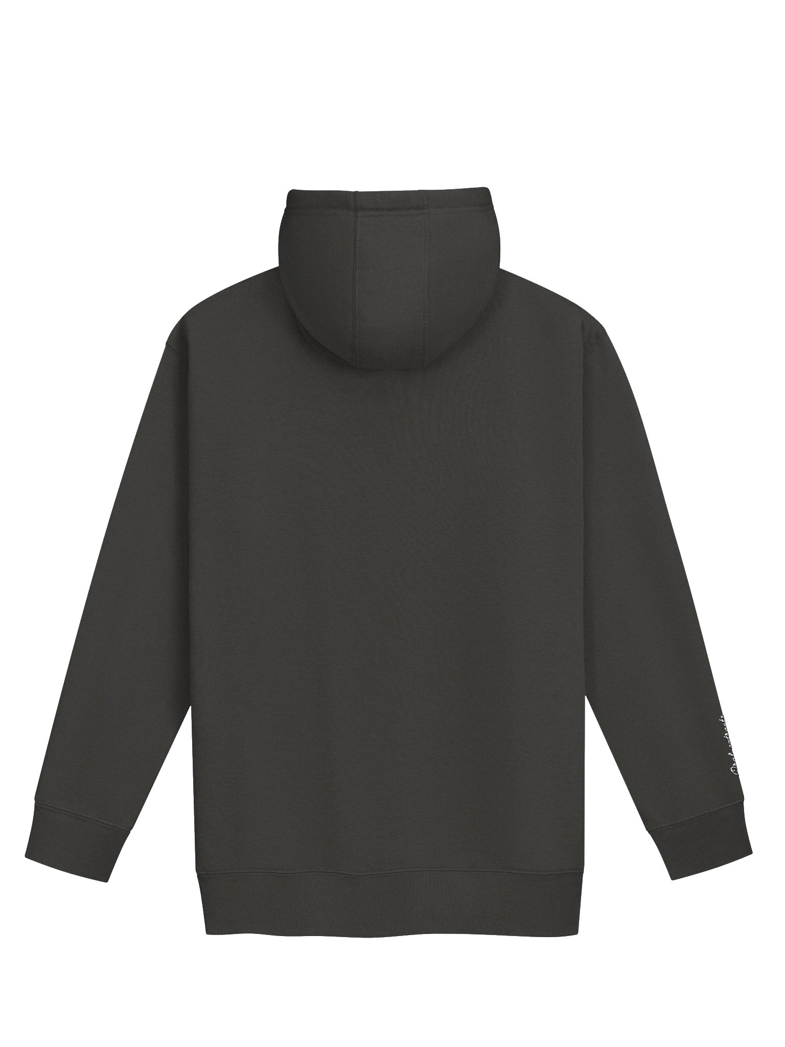 embroidered hoodie product image (2)