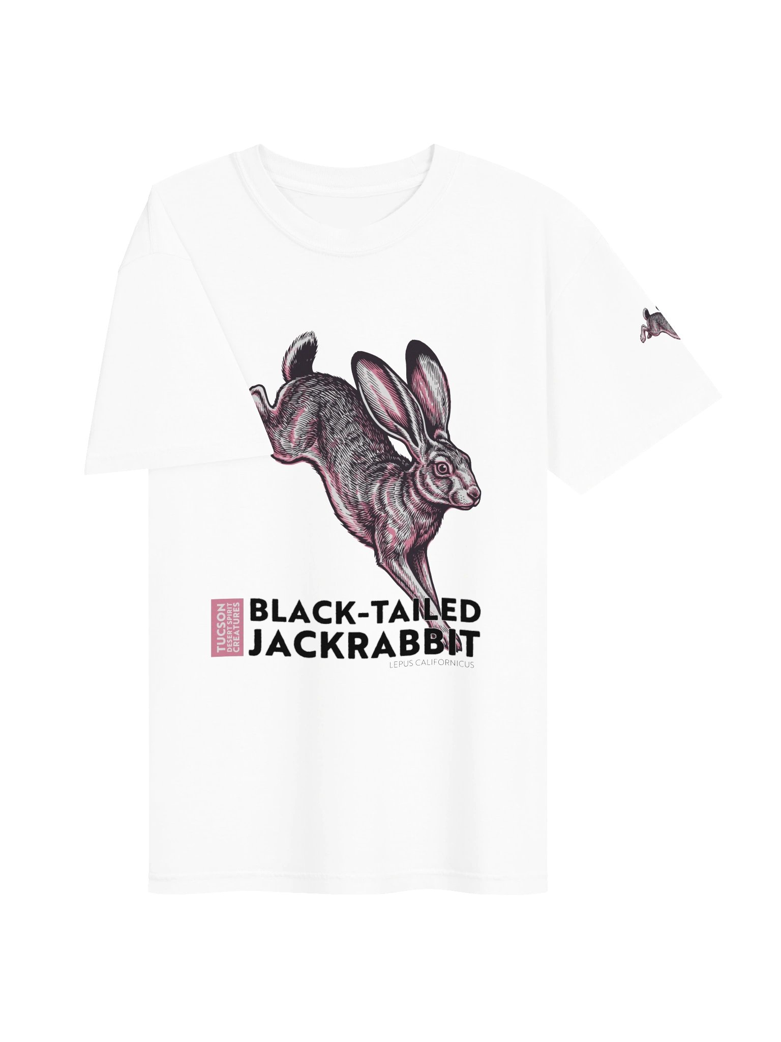 BLACK-TAILED JACKRABBIT product image (19)