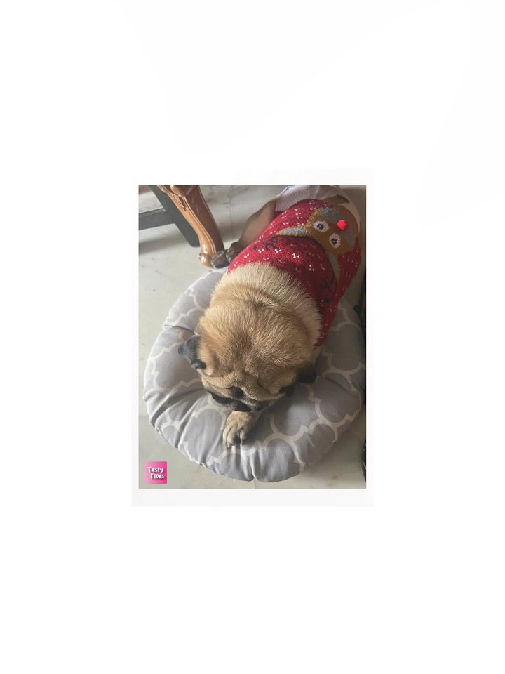 Pug Poster product image (1)