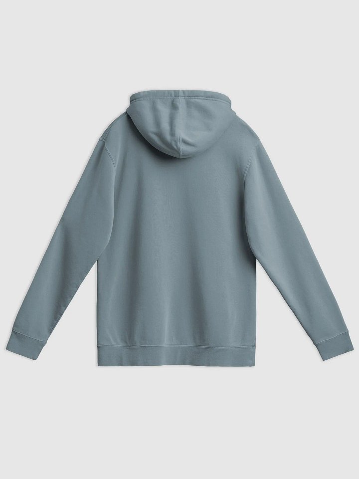 *still* on the spectrum (sm. bubble design) printed pigment hoodie product image (2)