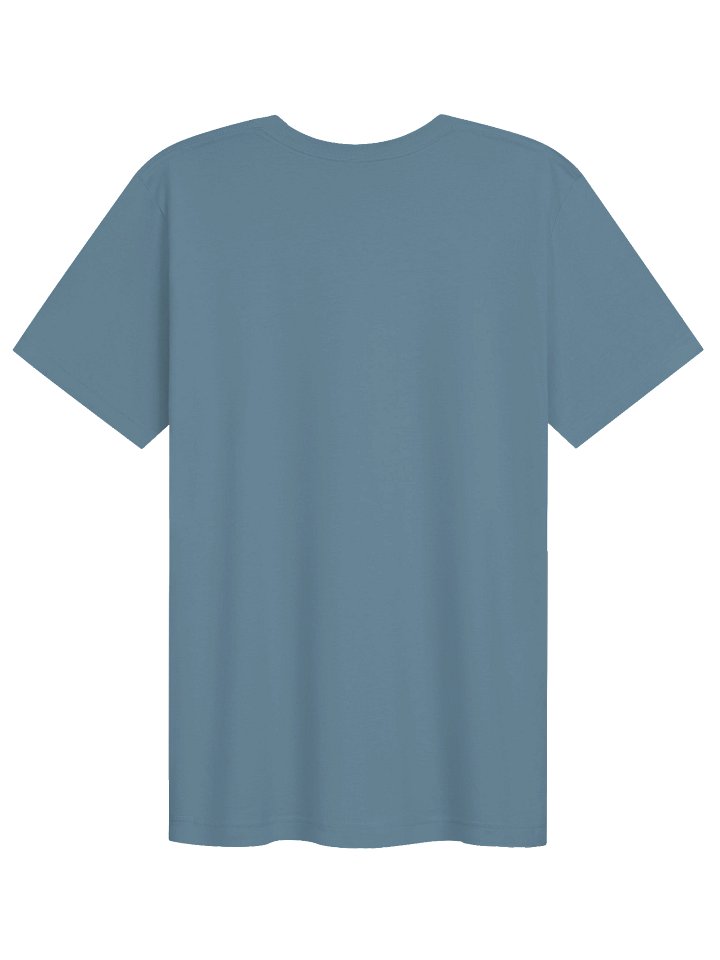 Anchored In Christ Blk, T-Shirt product image (2)