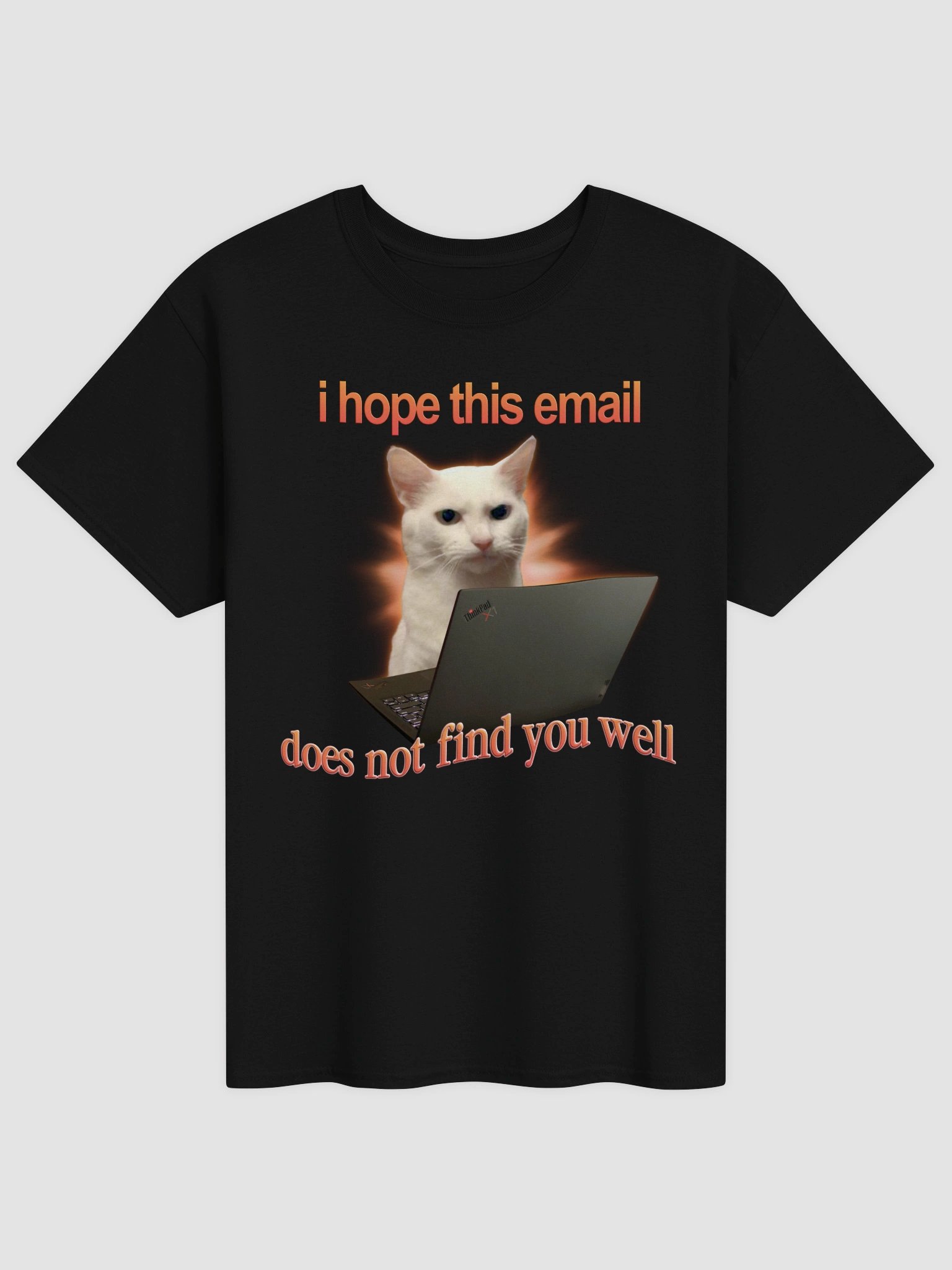 I hope this email does not find you well T-shirt product image (1)