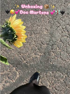 @Dr. Martens 🖤💕 #chic #black 🖤🧚🏾‍♀️ knee-hi #boots #unboxwithme 💖 #drmartens