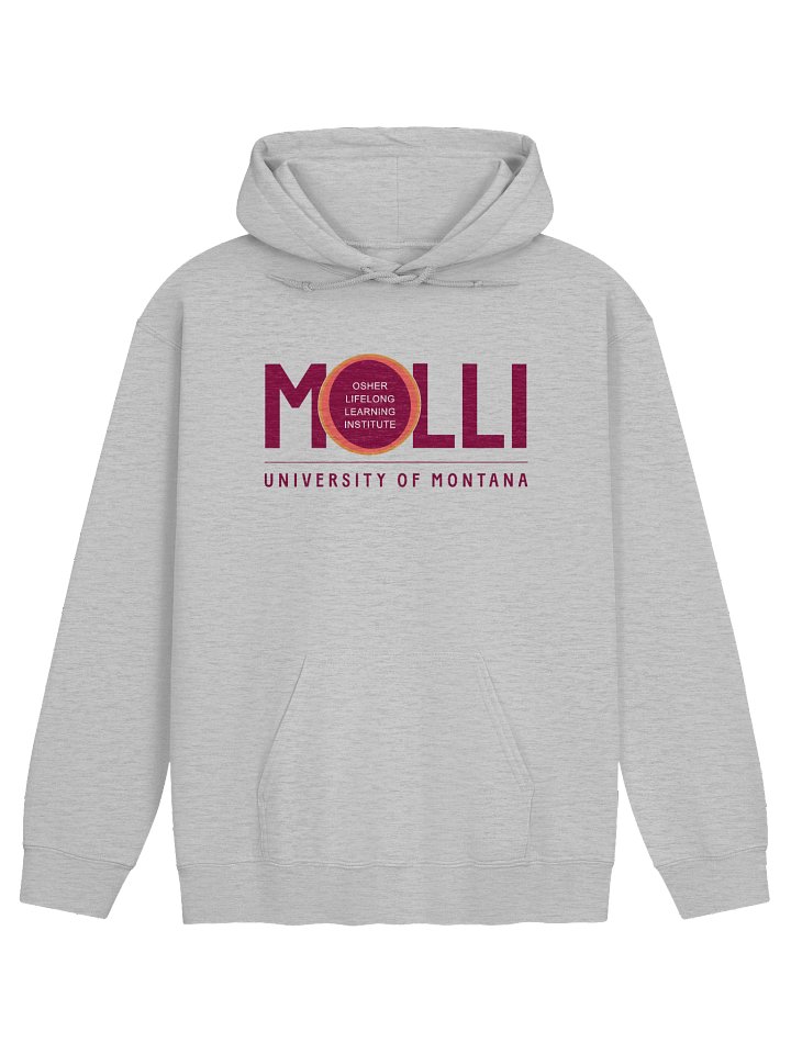 MOLLI Hoodie – Gray product image (1)