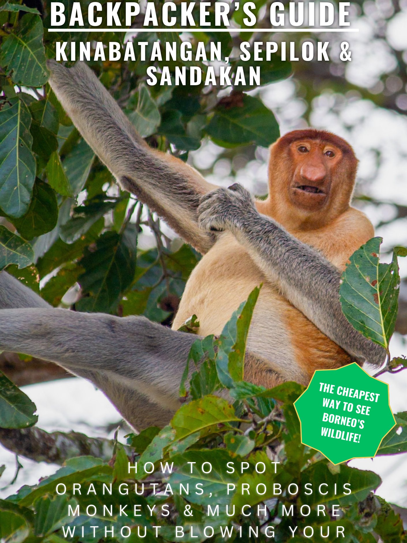 Backpacker’s Guide to Kinabatangan, Sepilok & Sandakan product image (1)