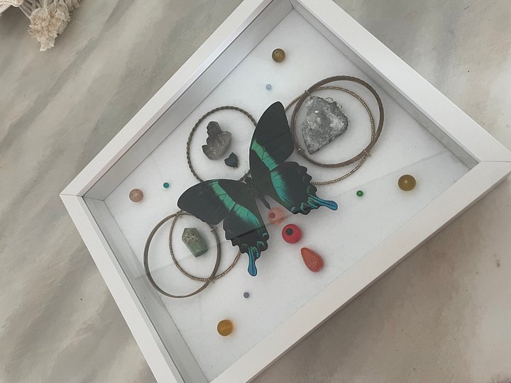 Geo Emerald Swallowtail Shadowbox product image (2)