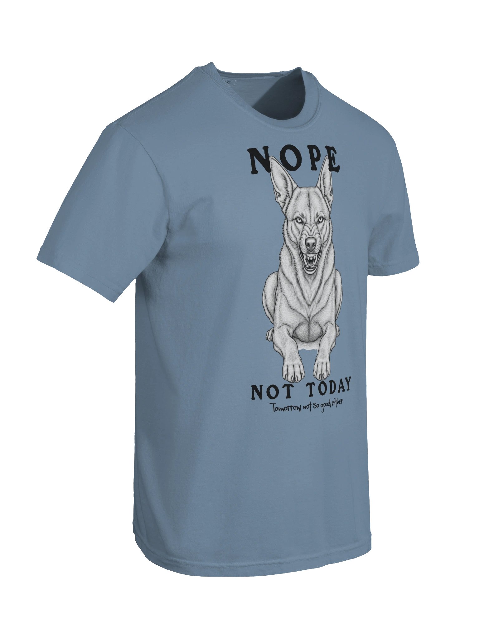 Nope Not Today product image (22)