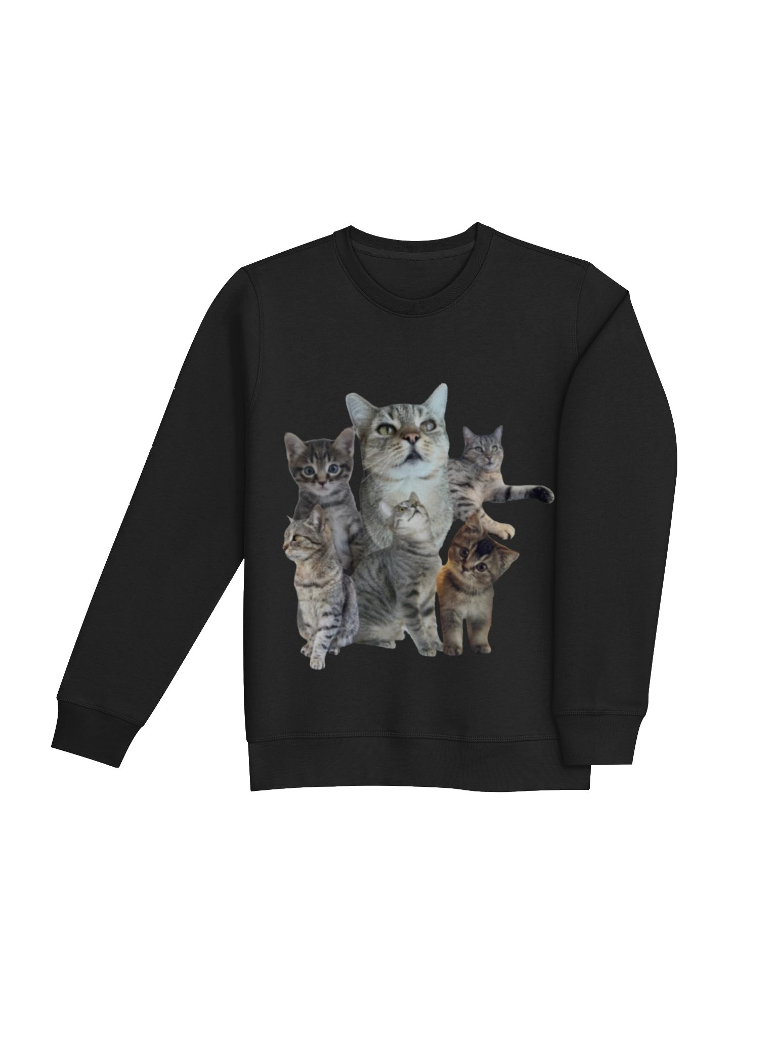Cute Cats Graphic Crewneck Sweatshirt product image (16)