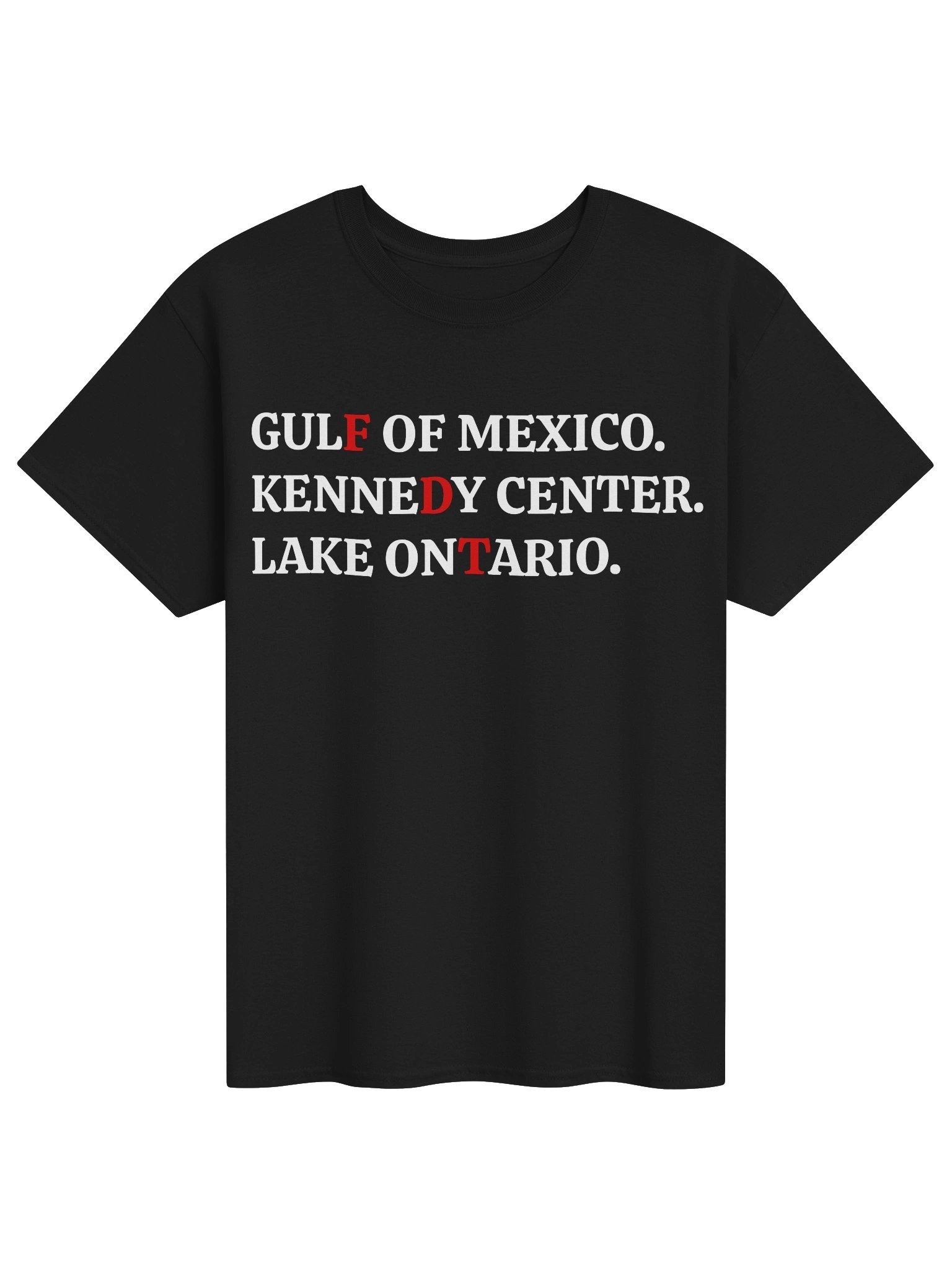 FDT Lake Ontario Kennedy Center Shirt product image (41)