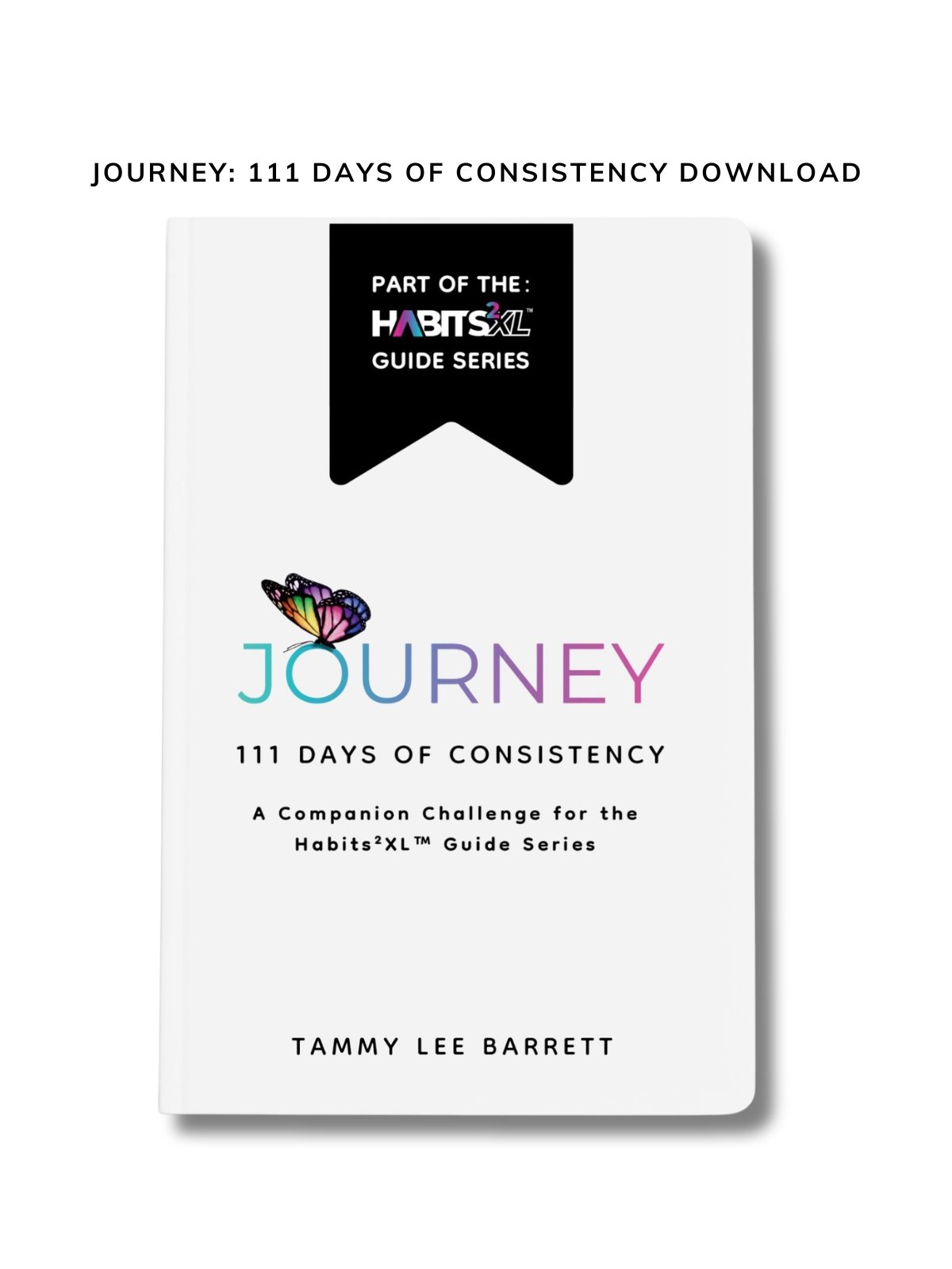 Journey: 111 Days of Consistency PDF Printable (Download) product image (1)
