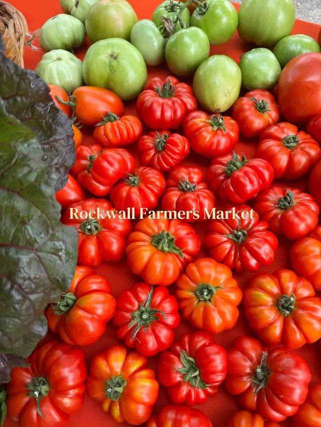 Rareloom Garden stopped me in my tracks at the #farmersmarket today with these Costoluto Fiorentino tomatoes, Italian heirloom tomatoes that I’ve only ever seen on my favorite Tuscan gardener’s youtube channel. 🤩 I’m so excited to eat them. 🍅🌿 #dfw   #rockwallfarmersmarket #rockwall #rockwalltexas