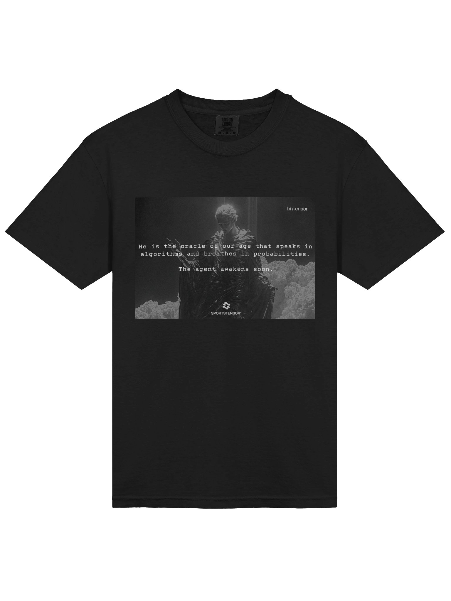 SN41 - Heavyweight T-Shirt product image (3)