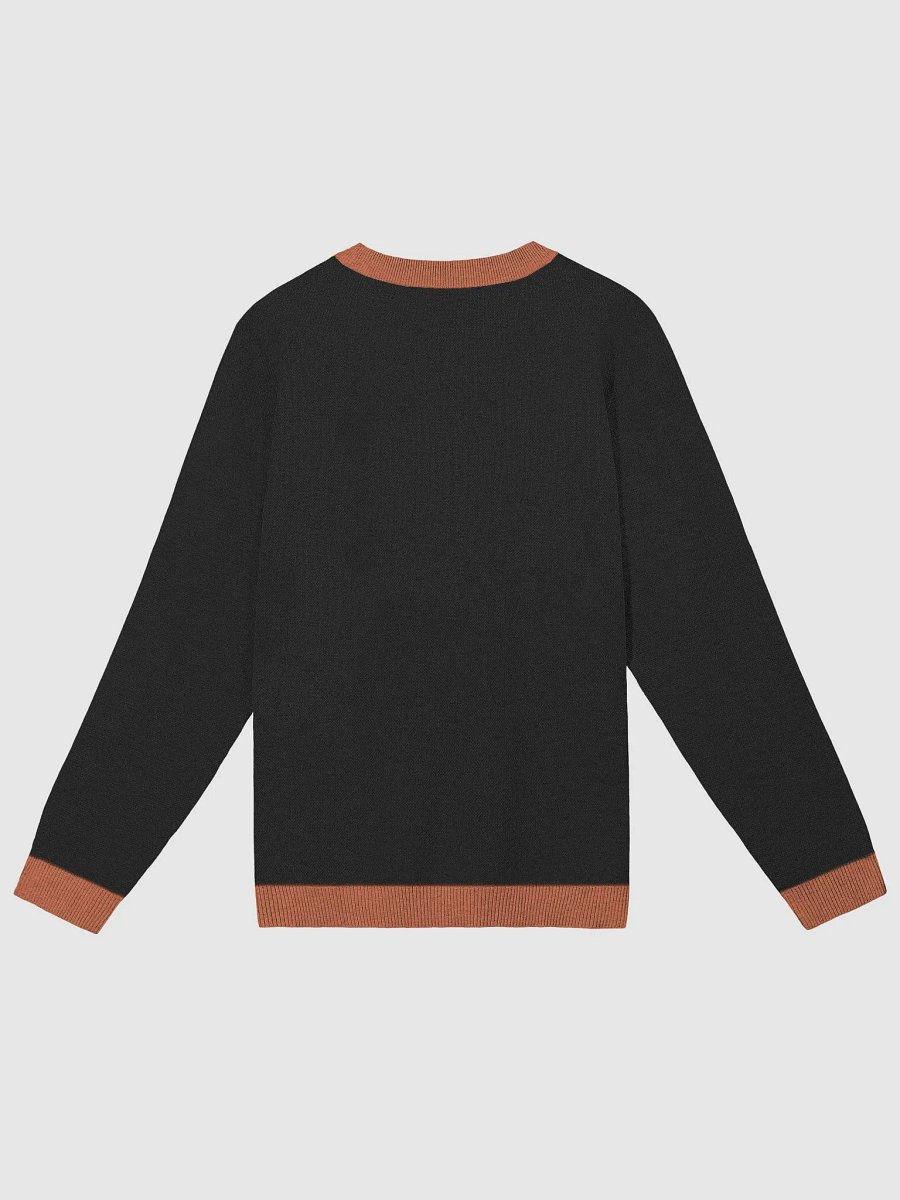 G.O.T PUMPKIN SWEATER product image (9)