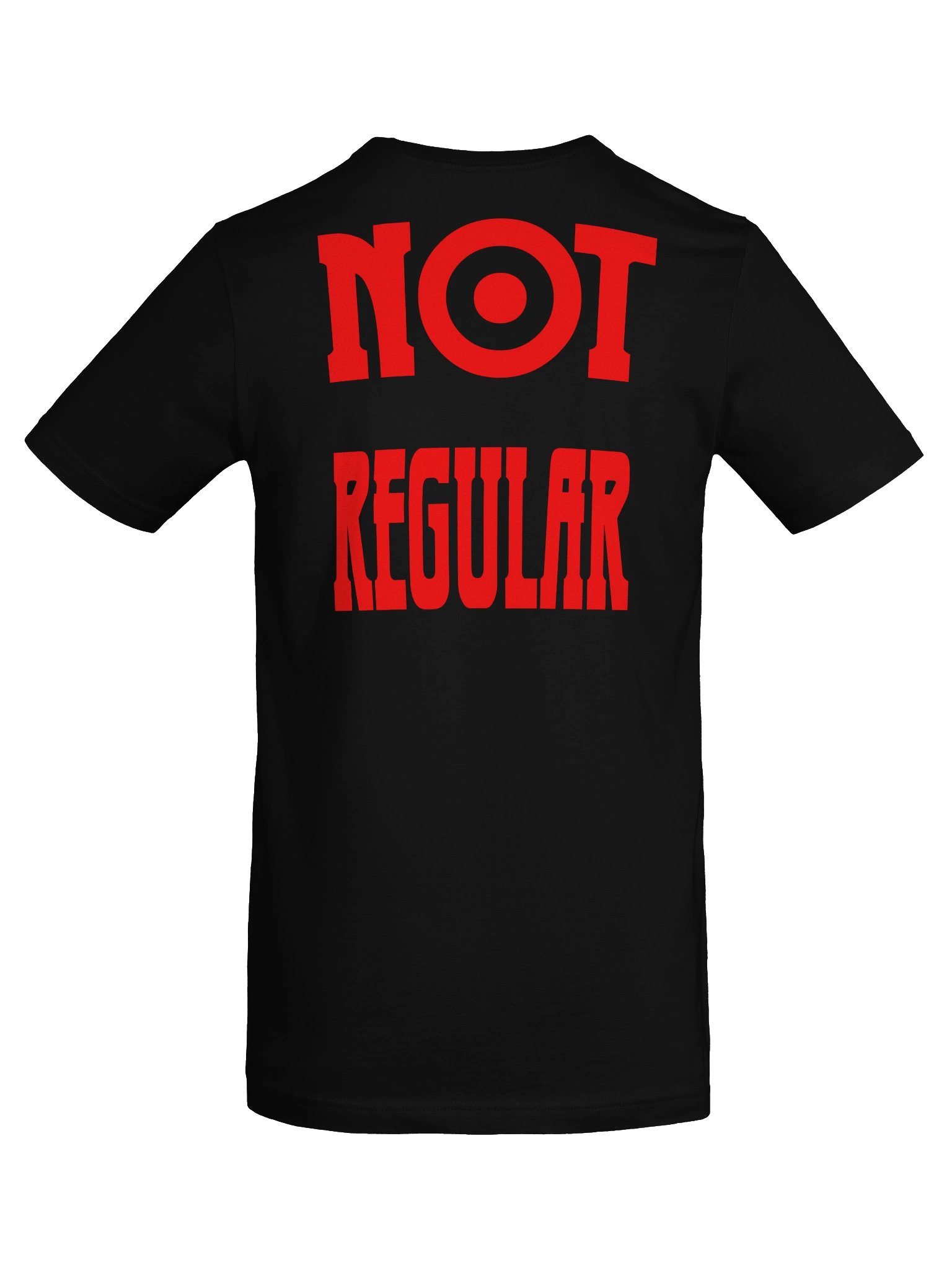 "NOT REGULAR" TEE product image (55)