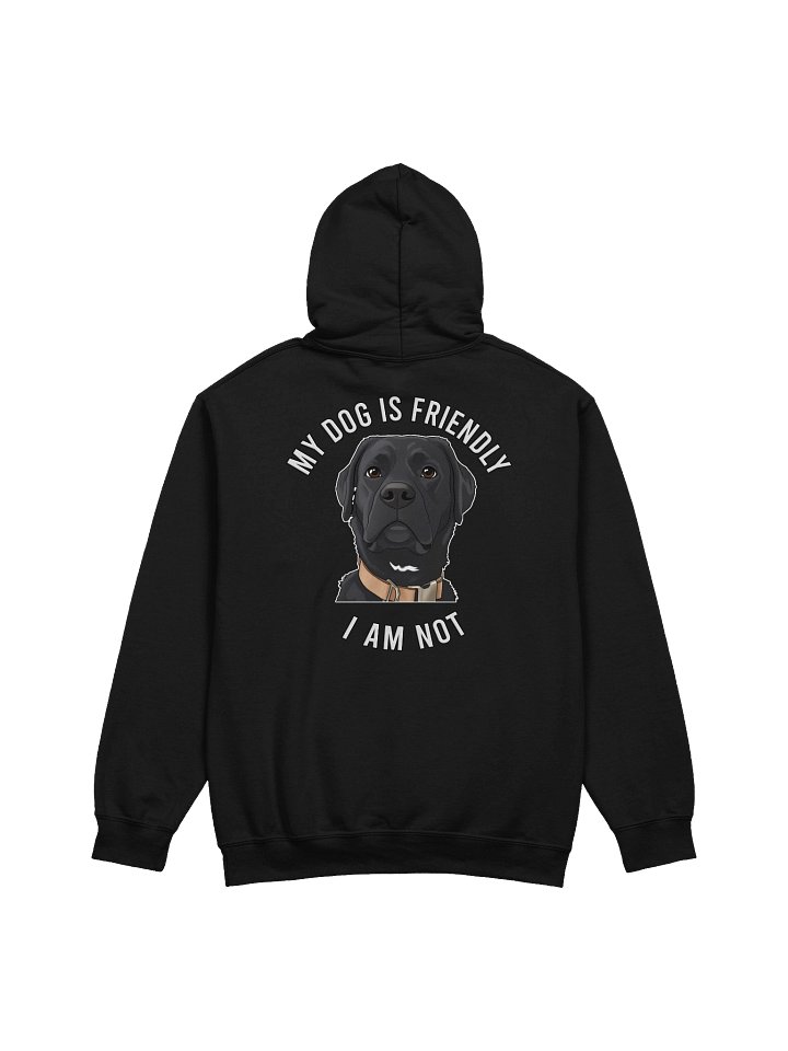 Gunner - Friendly - Hoodie product image (14)
