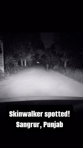 Skinwalker spotted?

If only the valuable videos got traction like these.