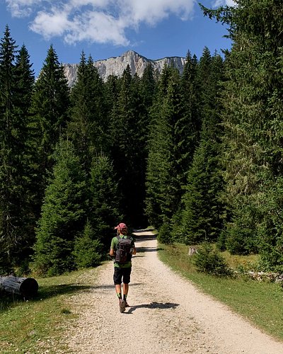 Montenegro ⛰️🌼

Sono appena usciti sul nostro canale YouTube i 3 video dedicati a questo bellissimo Paese che abbiamo visitat...
