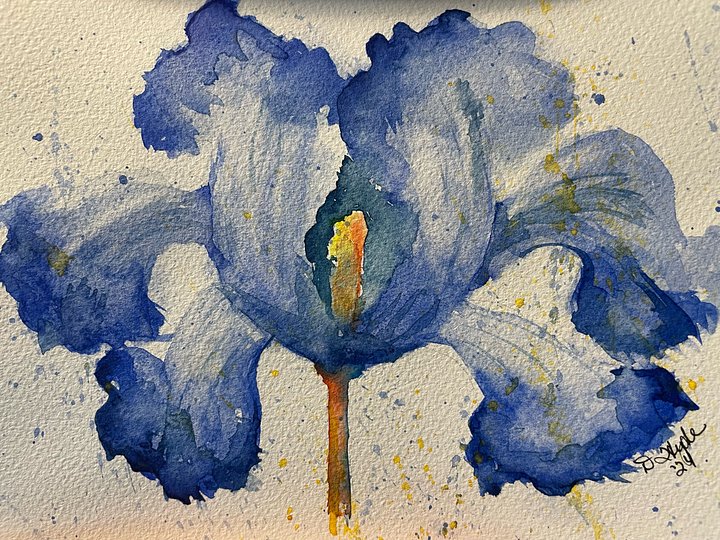 Bearded Iris (Print) product image (1)