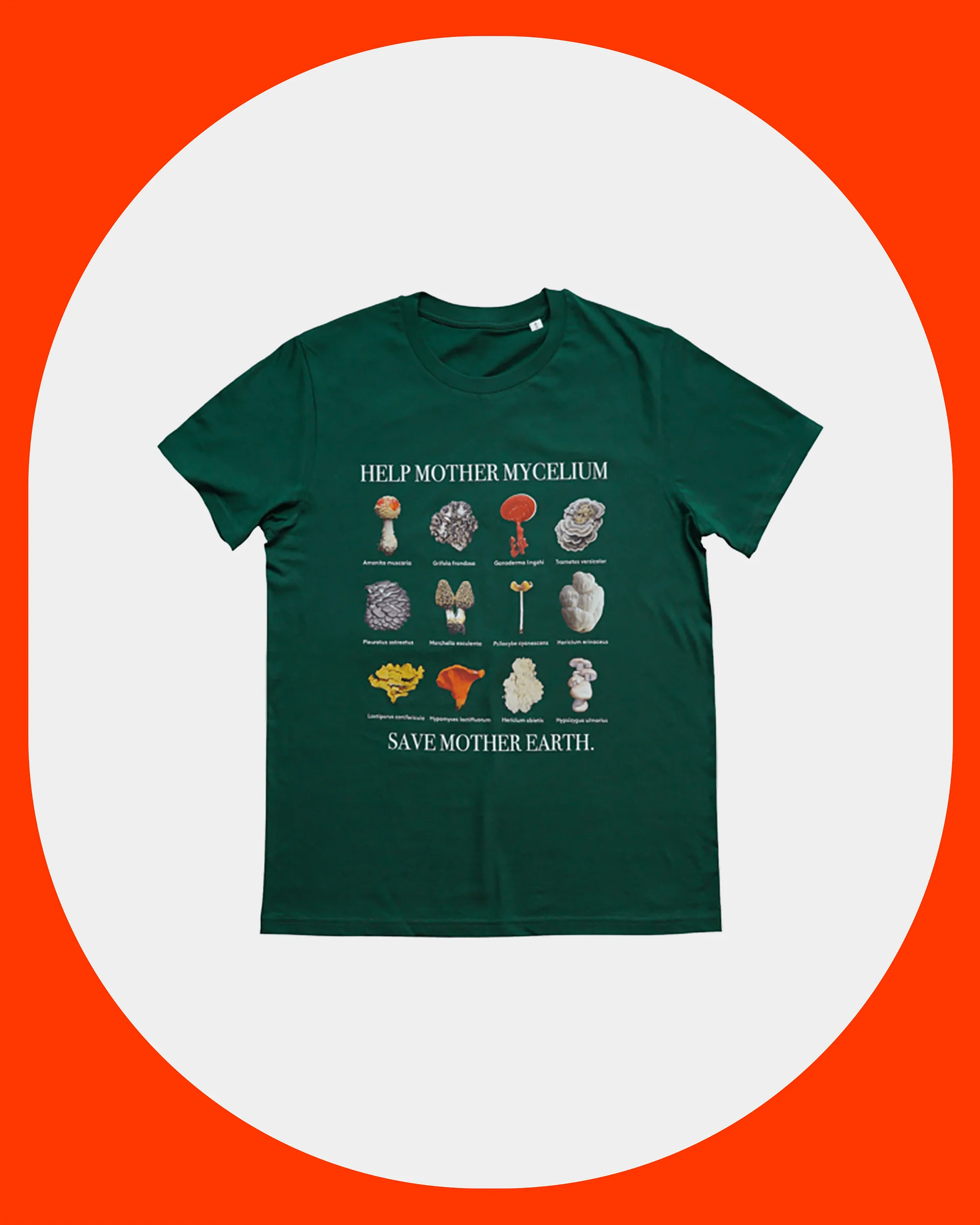 Mother Mycelium T-Shirt product image (1)