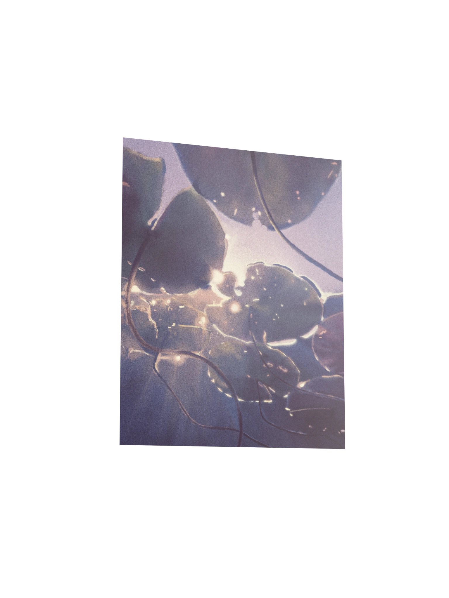 Lily Pads product image (3)