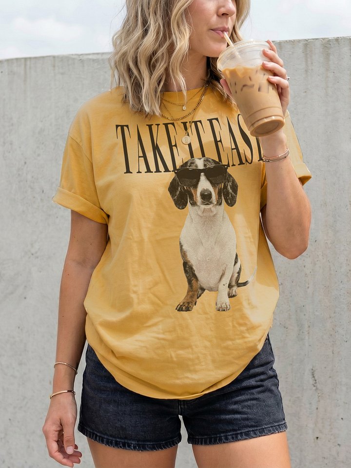 Take It Easy '90s Pop Vintage-Style T-Shirt for Dachshund(Pied) Lovers product image (2)