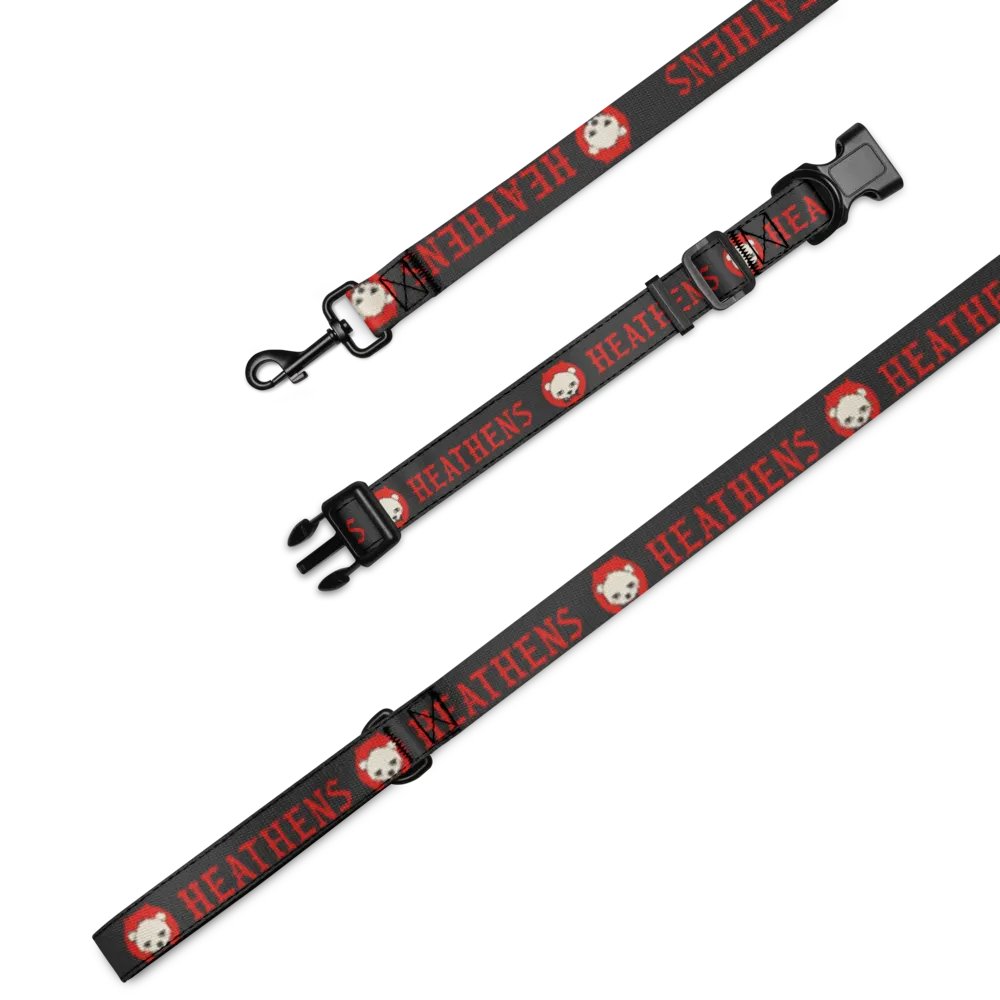 Heathens Leash and Collar product image (1)