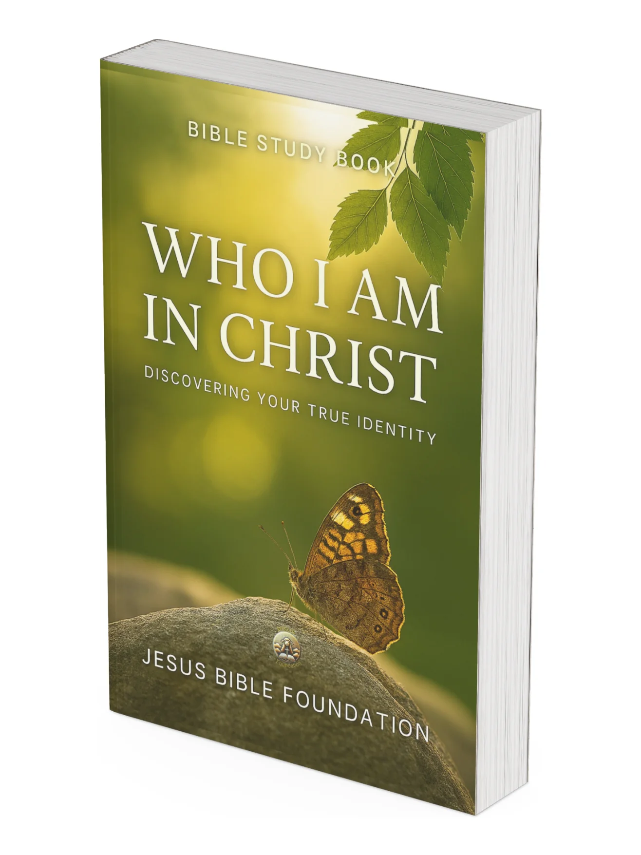Bible Study Book Who I Am in Christ: Discovering Your True Identity product image (1)